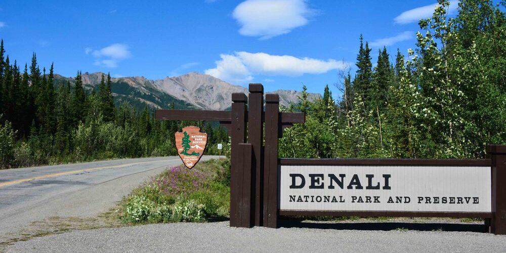 denali park 1